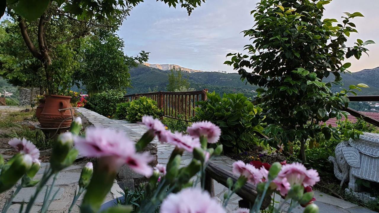 Alagonia Country Homes エクステリア 写真