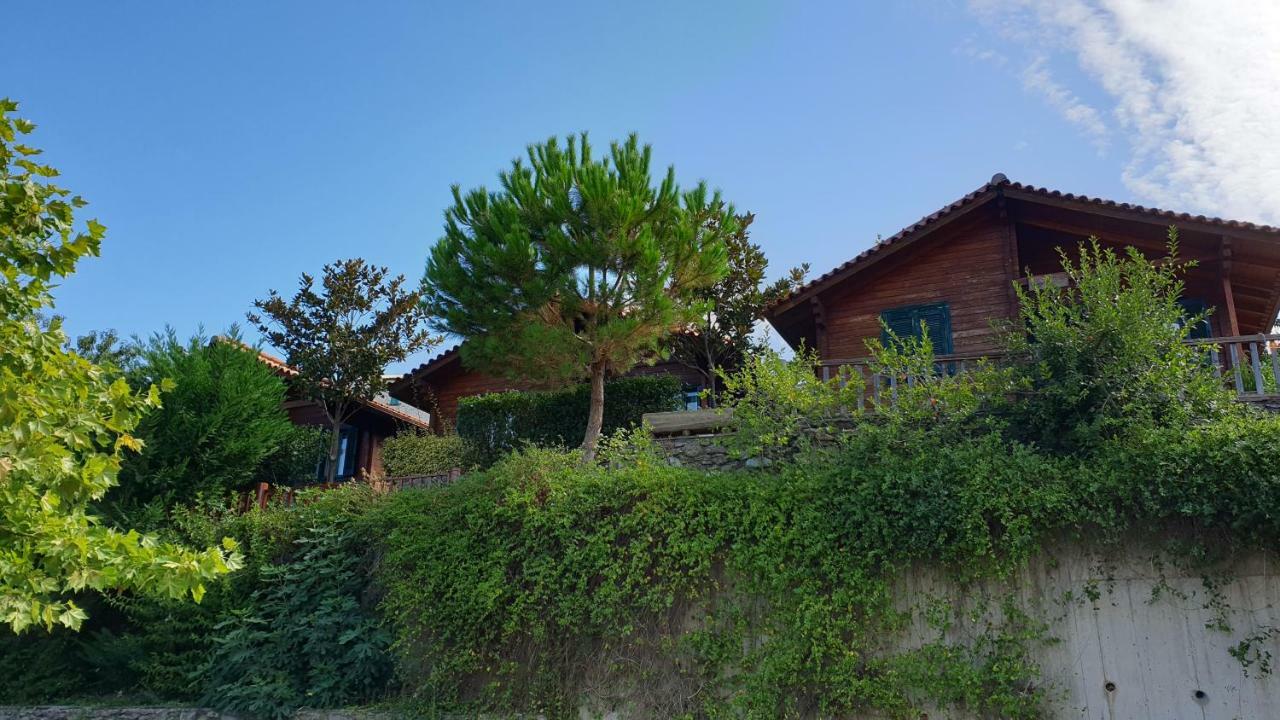 Alagonia Country Homes エクステリア 写真